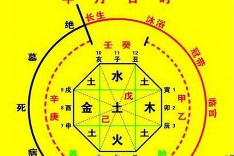 算5行|生辰八字算命、五行喜用神查询（免费测算）